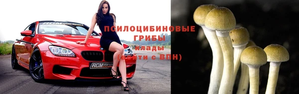 соль ск Алексеевка