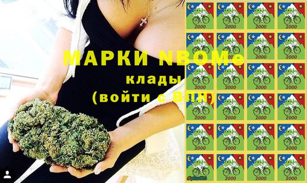 дурь Алексин