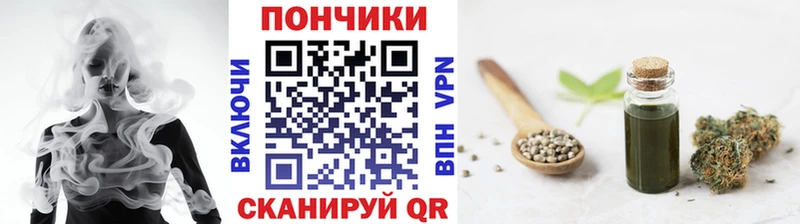Бошки марихуана AK-47  закладка  Новая Ладога 